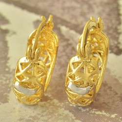 Or 9ct pour ces boucles d'oreilles magnifiques Bi-color