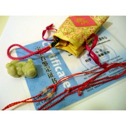 Pendentif Pi Xiu Jade Jadéite Grade A – Dragon Feng Shui